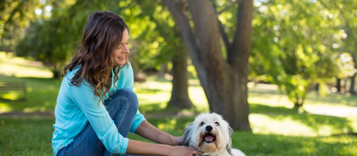 3 Studien, die zeigen, dass sich Hunde auch vegan ernähren können