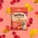 Soopa Bites MANGO & HIMBEERE