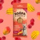 Soopa Dentals MANGO & HIMBEERE