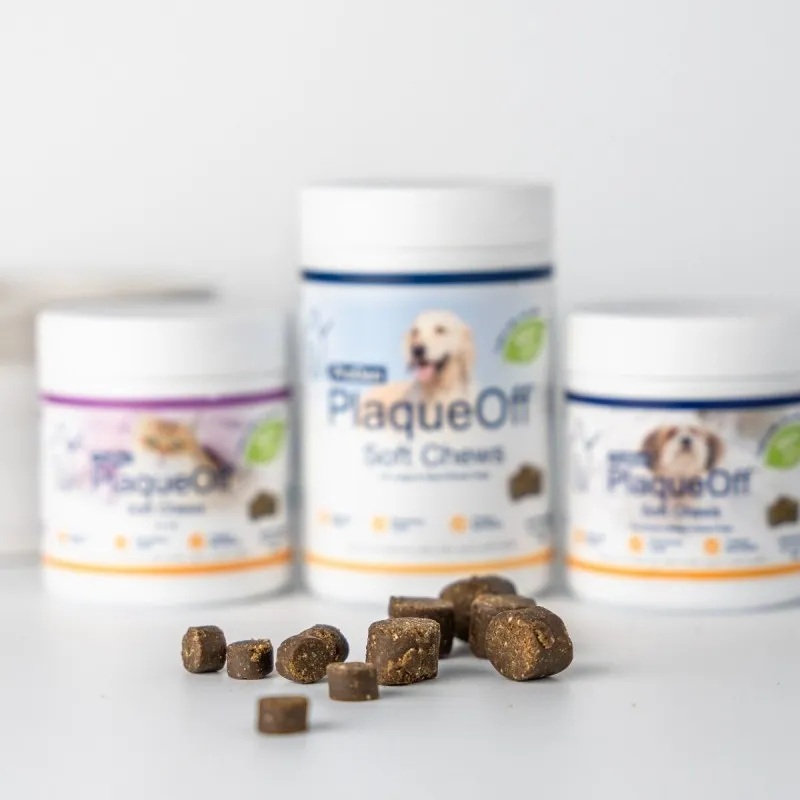 ProDen PlaqueOff SOFT CHEWS für große Hunde