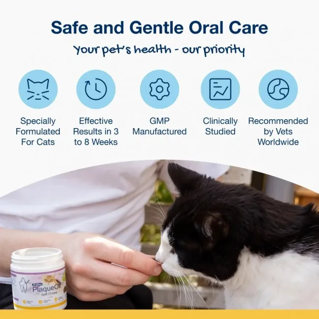 ProDen PlaqueOff SOFT CHEWS für Katzen