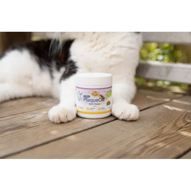 ProDen PlaqueOff SOFT CHEWS für Katzen