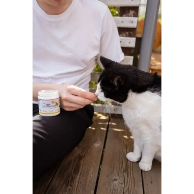 ProDen PlaqueOff SOFT CHEWS für Katzen