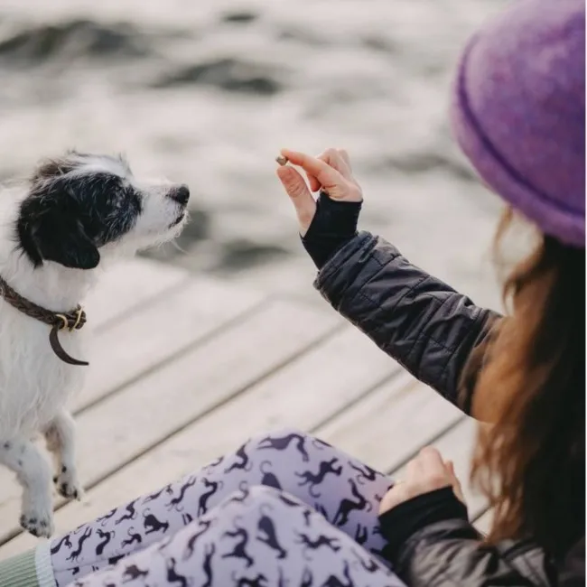 Vegdog MOBILITIES MINIS